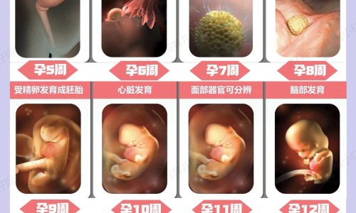 唇疱疹专区_长孢疹的原因引起的专区_出孢疹前的症状网