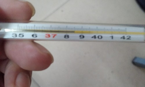 出孢疹前的症状怎么治疗-唇疱疹专区_长孢疹的原因引起的专区_出孢疹前的症状网